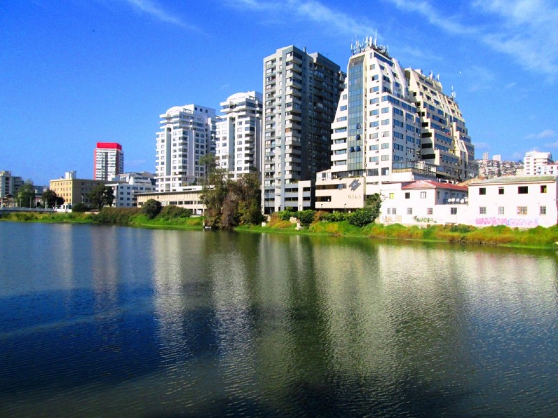 Arriendo Depto Año Corrido Amoblado 1D-1B Centro Viña