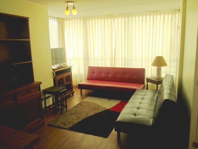 Arriendo Depto Año Corrido Amoblado 1D-1B Centro Viña