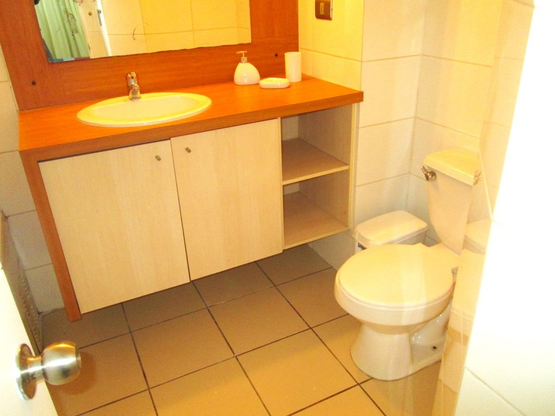 Arriendo Depto Año Corrido Amoblado 1D-1B Centro Viña