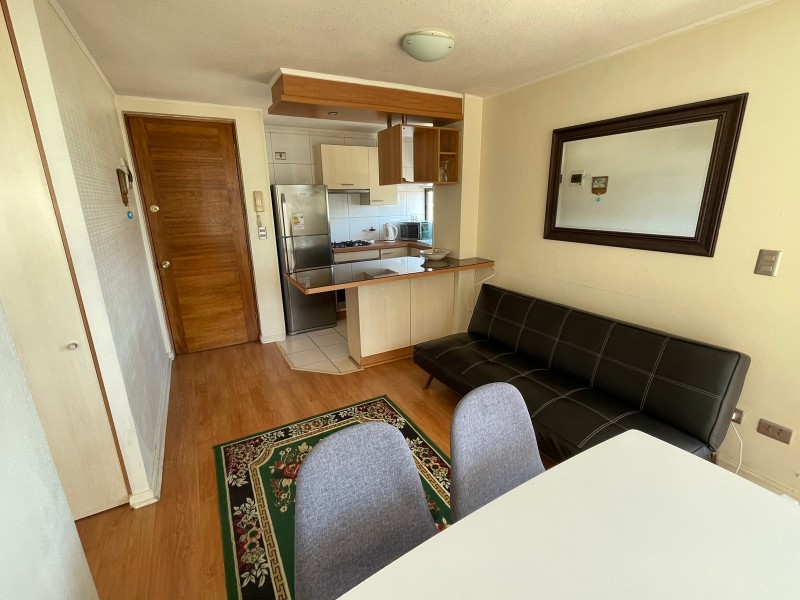 Arriendo Diario 2D-2B-1E Pasos de Av. Perú y Casino de Viña