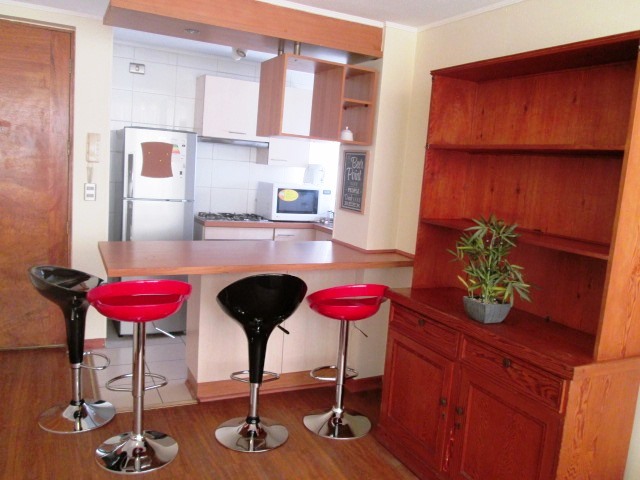 Arriendo Depto Año Corrido Amoblado 1D-1B Centro Viña