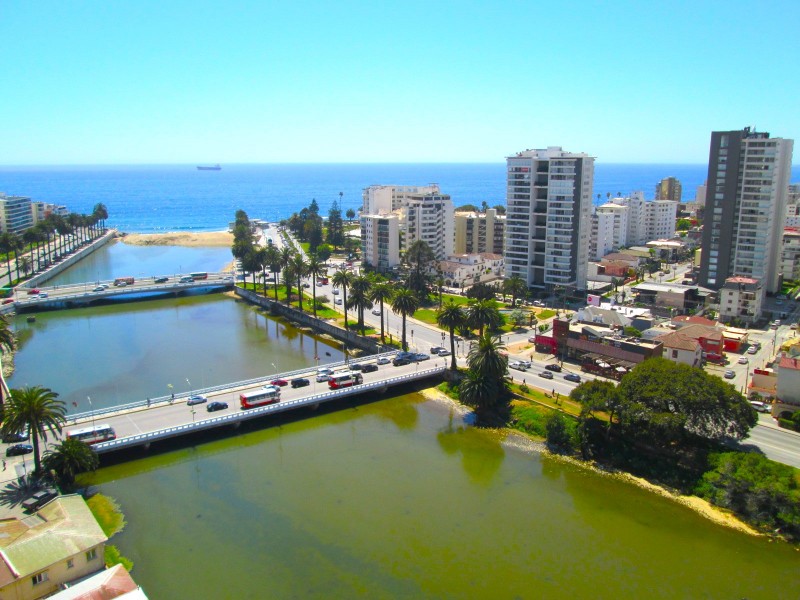 Arriendo Depto Año Corrido Amoblado 1D-1B Centro Viña