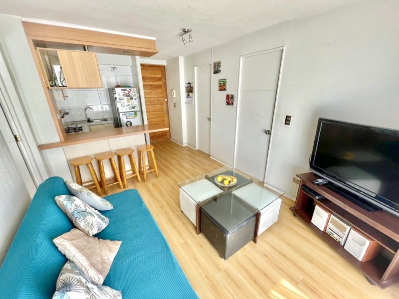 Arriendo Diario Cómodo Depto A Pasos de Casino de Viña