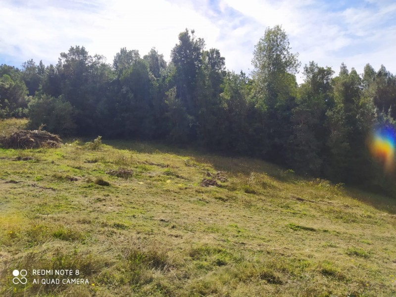 Hermosa Parcela de Ensueño. Panitao Bajo, Puerto Montt