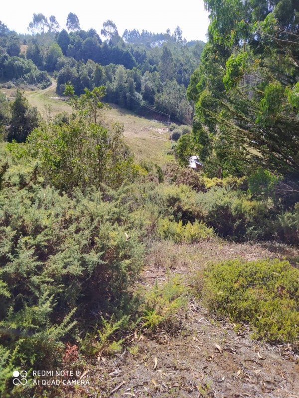 Hermosa Parcela de Ensueño. Panitao Bajo, Puerto Montt