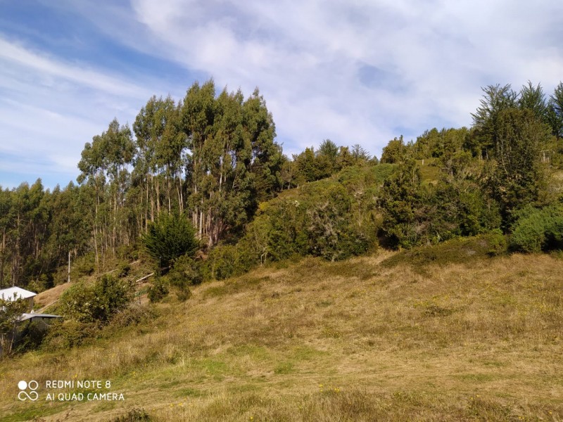 Hermosa Parcela de Ensueño. Panitao Bajo, Puerto Montt