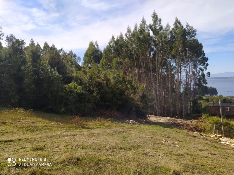 Hermosa Parcela de Ensueño. Panitao Bajo, Puerto Montt