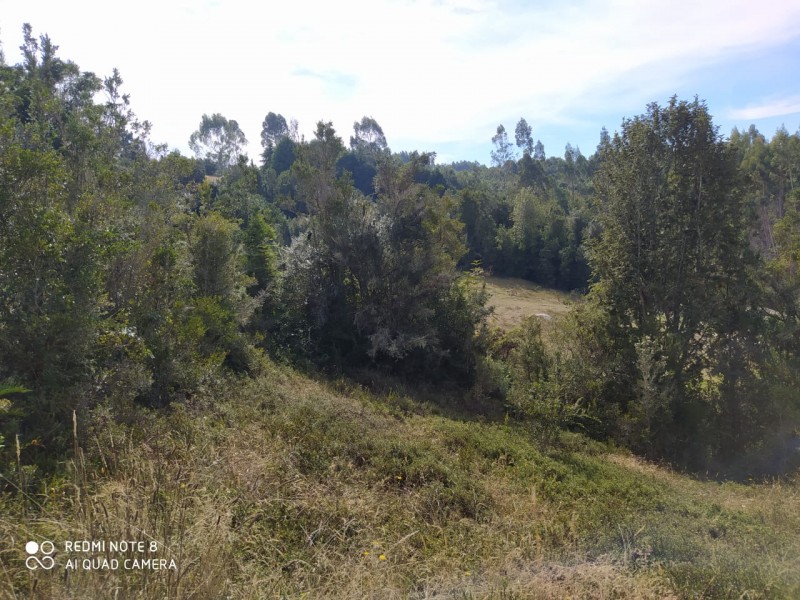 Hermosa Parcela de Ensueño. Panitao Bajo, Puerto Montt