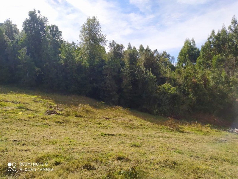 Hermosa Parcela de Ensueño. Panitao Bajo, Puerto Montt