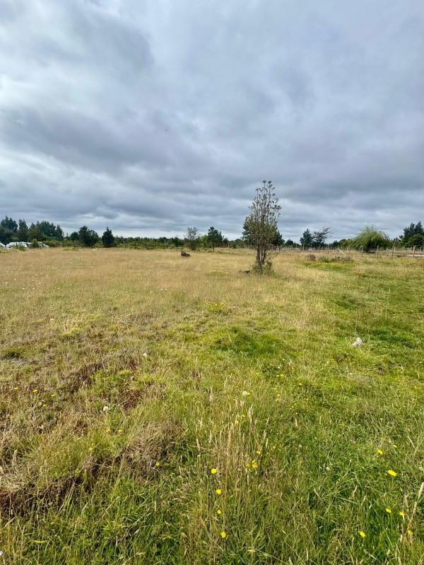 Parcela en la Ciudad de Puerto Montt, Colonia Alerce