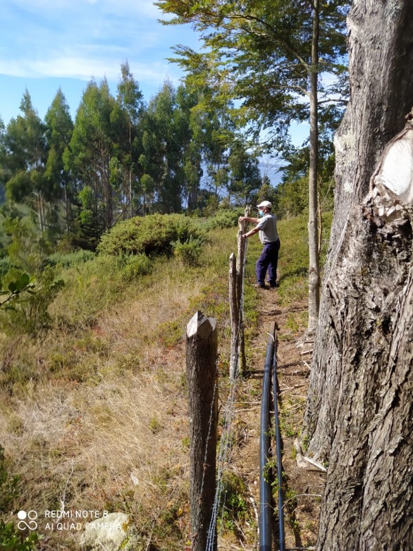 Hermosa Parcela de Ensueño. Panitao Bajo, Puerto Montt