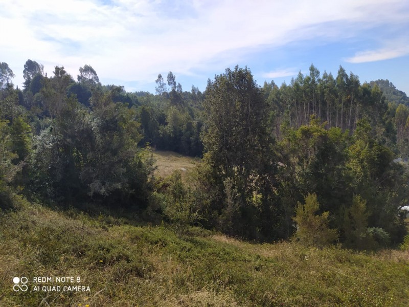 Hermosa Parcela de Ensueño. Panitao Bajo, Puerto Montt