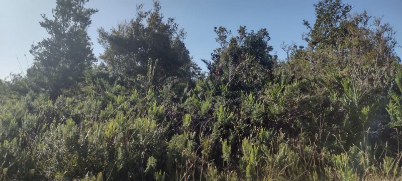 Venta Derecho de Sitios Terreno Puerto Montt