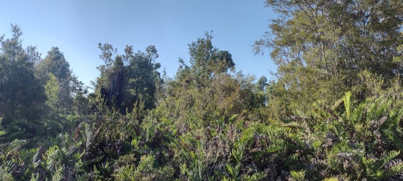 Venta Derecho de Sitios Terreno Puerto Montt