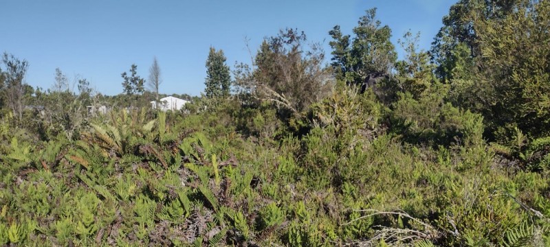 Venta Derecho de Sitios Terreno Puerto Montt