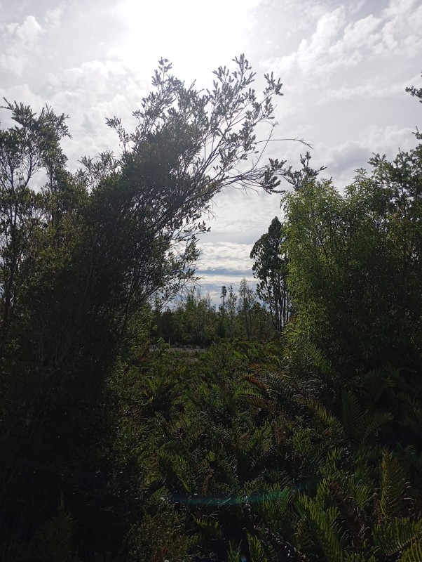Venta Derecho de Sitios Terreno Puerto Montt