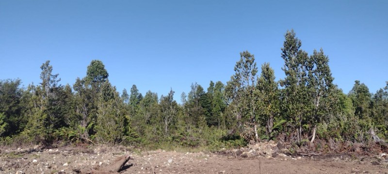 Venta Derecho de Sitios Terreno Puerto Montt