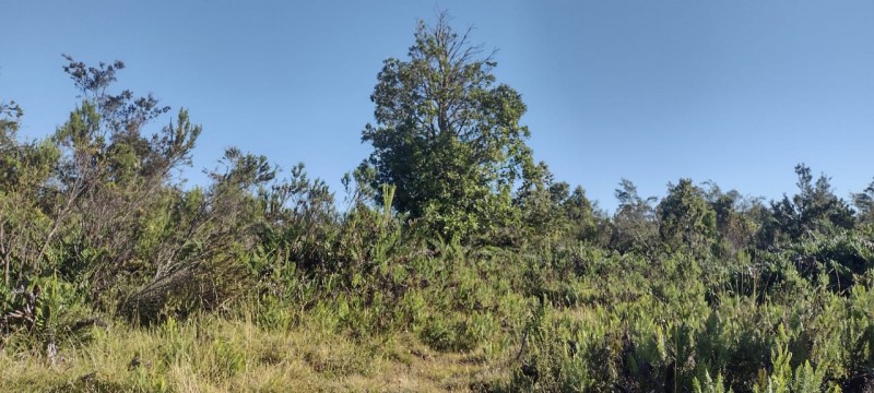 Venta Derecho de Sitios Terreno Puerto Montt