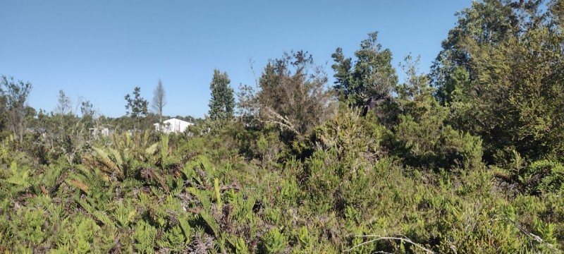 Venta Derecho de Sitios Terreno Puerto Montt
