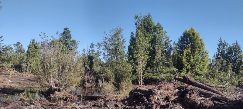Venta Derecho de Sitios Terreno Puerto Montt