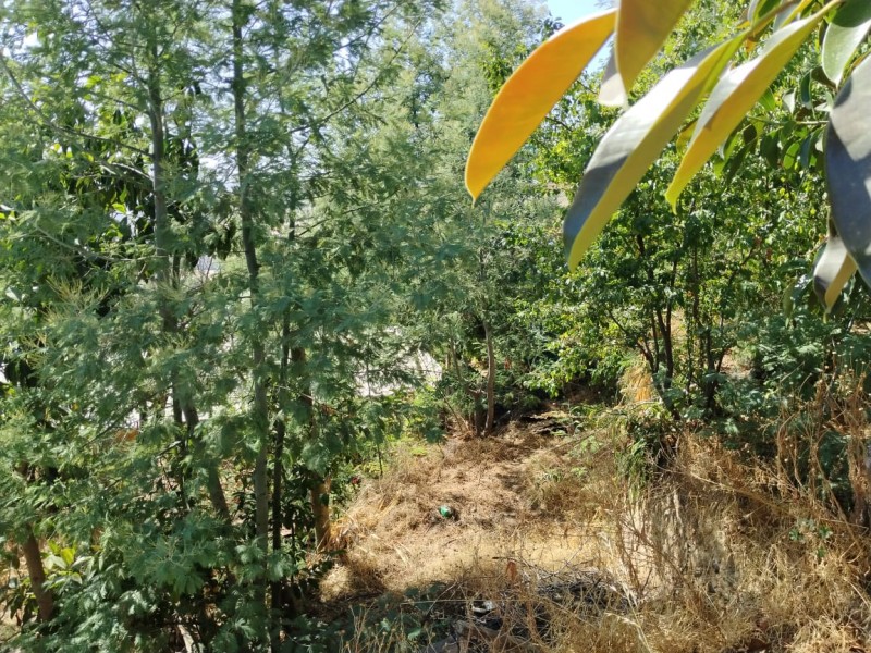 Se Vende Terreno en Chorrillos Viña del Mar