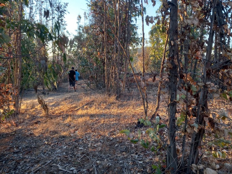 Se Vende Parcela 5000 M2 en Valle Verde Limaches-Quilpué
