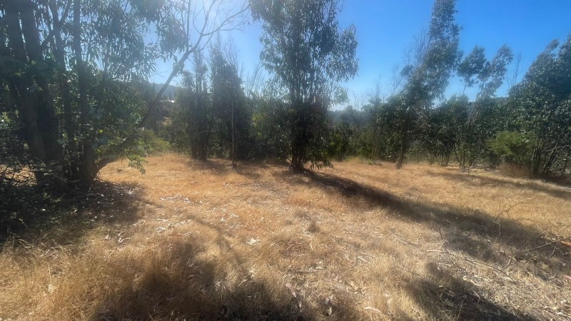 Se Vende Parcela 5000 M2 en Valle Verde Limaches-Quilpué