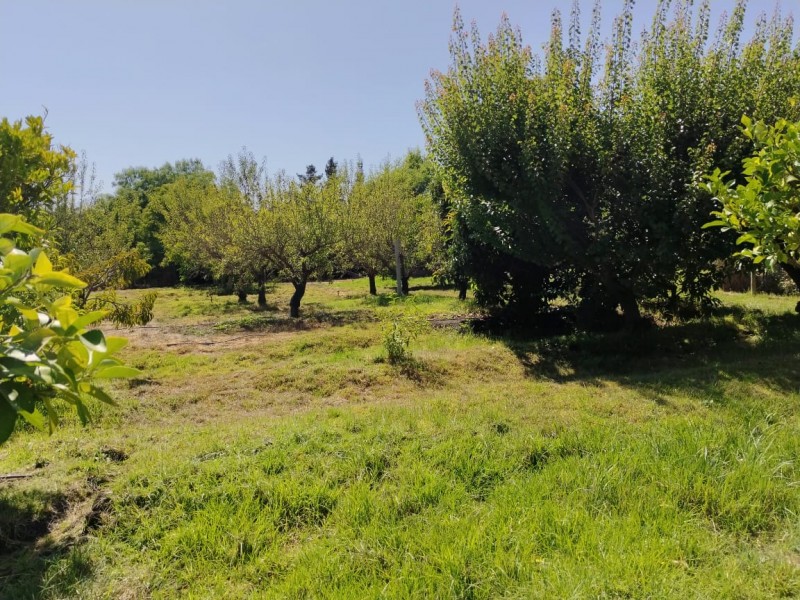 Se Vende Hermosa Parcela en Lliu Lliu Limache