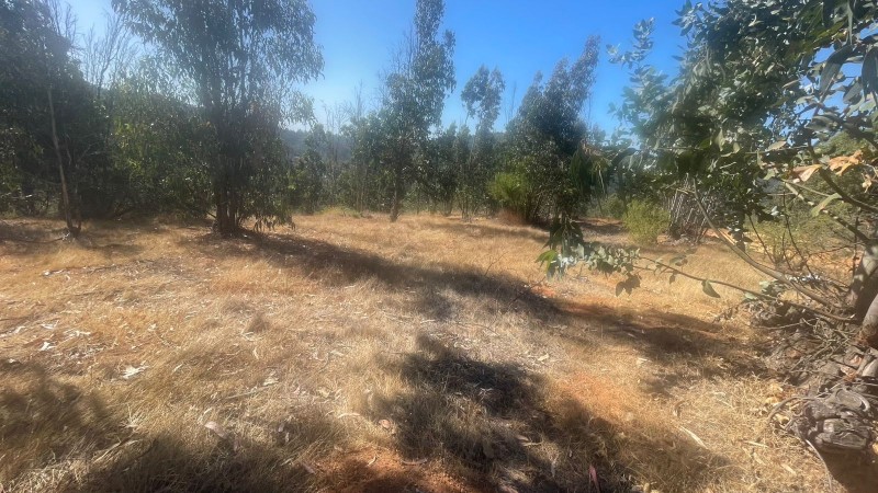 Se Vende Parcela 5000 M2 en Valle Verde Limaches-Quilpué