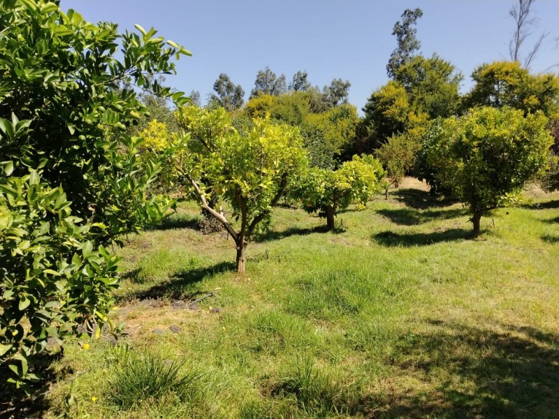 Se Vende Hermosa Parcela en Lliu Lliu Limache