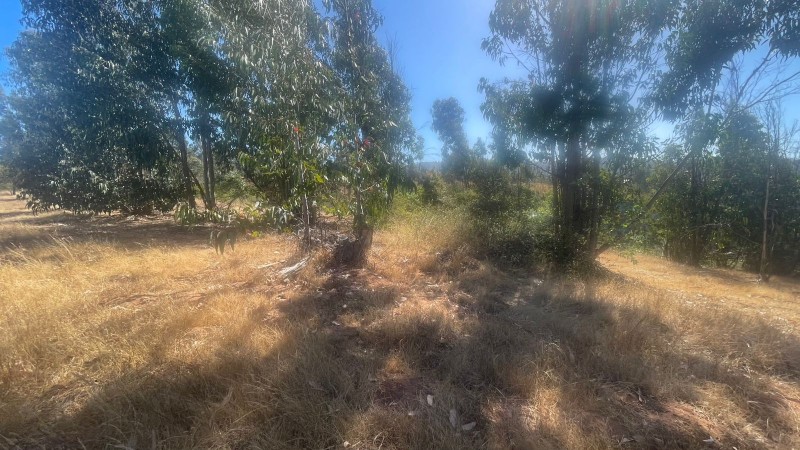 Se Vende Parcela 5000 M2 en Valle Verde Limaches-Quilpué
