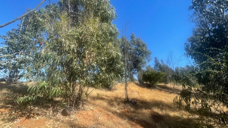 Se Vende Parcela 5000 M2 en Valle Verde Limaches-Quilpué