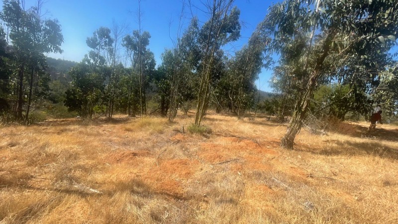 Se Vende Parcela 5000 M2 en Valle Verde Limaches-Quilpué
