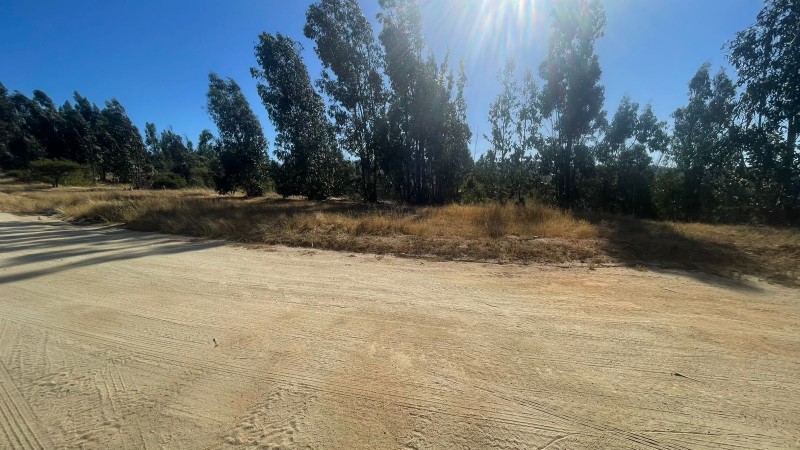 Se Vende Parcela 5000 M2 en Valle Verde Limaches-Quilpué