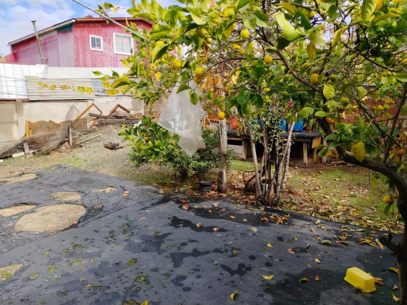 Se Vende Casa Sólida de 1 Piso Villa Alemana (Sk)