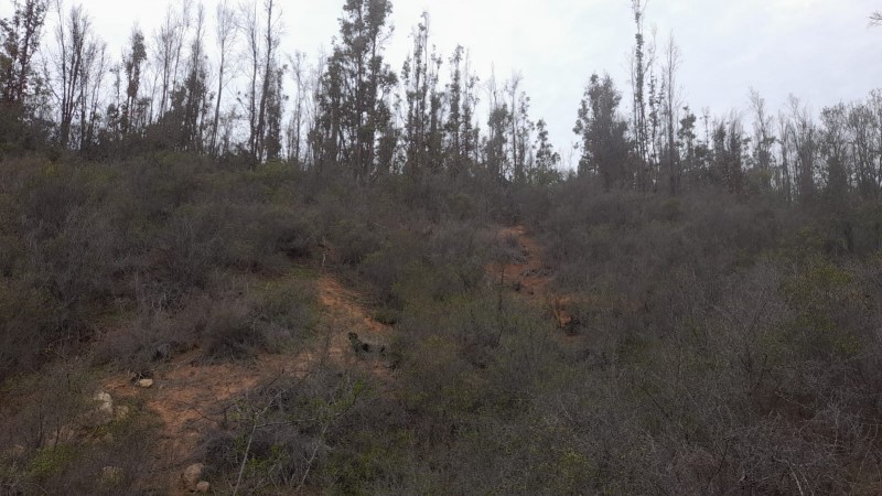 Se Vende Parcela 5000 M2 en Valle Verde Limaches-Quilpué