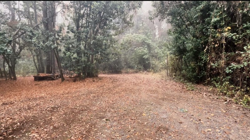 Cabaña en Venta