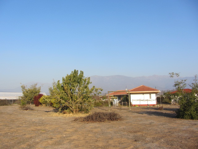 Parcela Plana Sector las Cruces Olmue