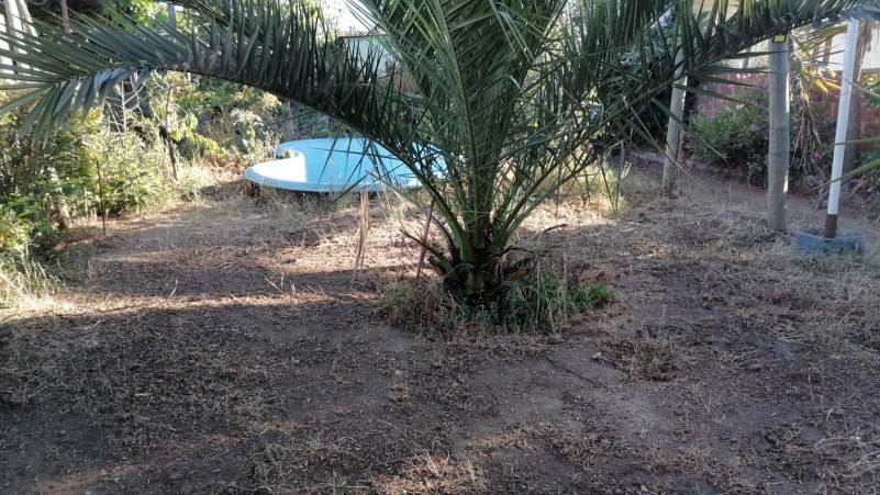 Vendo Amplia Propiedad Con Amplio Terreno