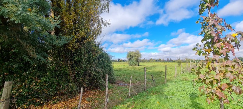 Venta de Terreno – Sector Capilla Palacios, Comuna de Colbún