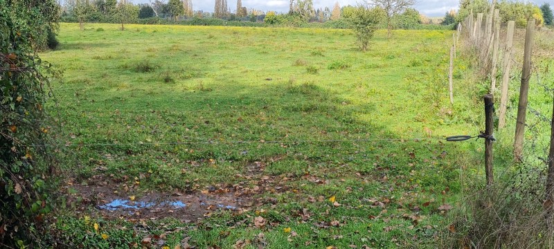 Venta de Terreno – Sector Capilla Palacios, Comuna de Colbún