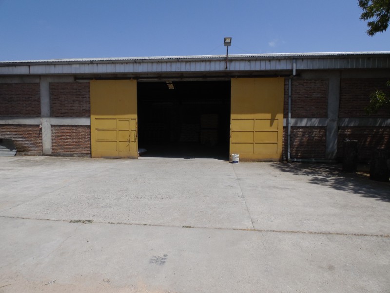 Arriendo Bodegas de Gran Capacidad en Ruta L-45 Linares