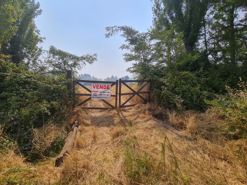 Parcela A Orilla de Ruta L-60 A 600 Metros Ruta 5 Sur