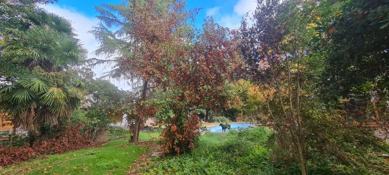 Espectacular Propiedad en Excelente Ubicación Av León Bustos