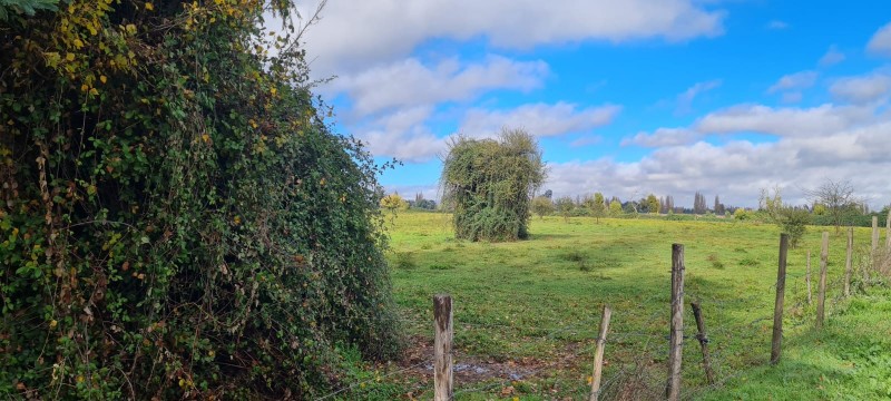 Venta de Terreno – Sector Capilla Palacios, Comuna de Colbún