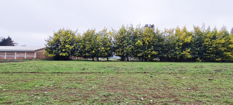 Terreno Urbano L-45 Proyección Inmobiliaria Y/o Comercial