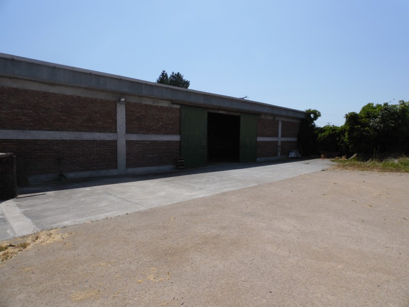 Arriendo Bodegas de Gran Capacidad en Ruta L-45 Linares