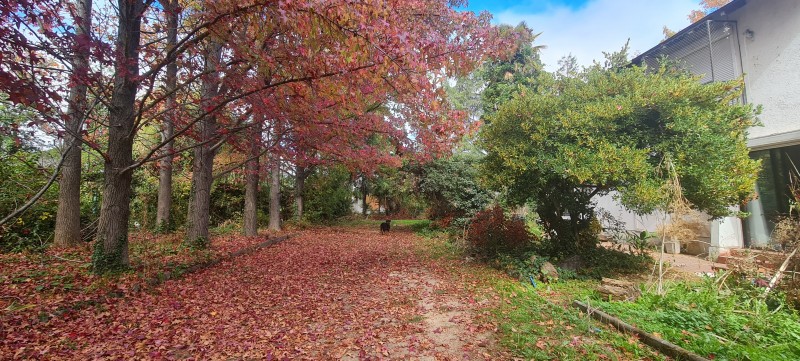Espectacular Propiedad en Excelente Ubicación Av León Bustos