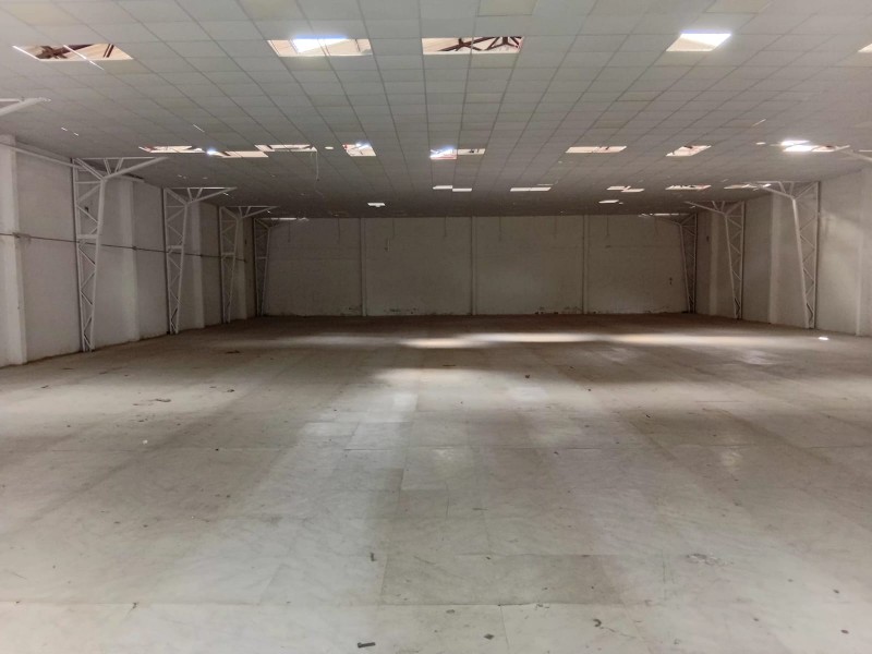 Exclusivo Local Comercial y Galpón en Avenida Balmaceda