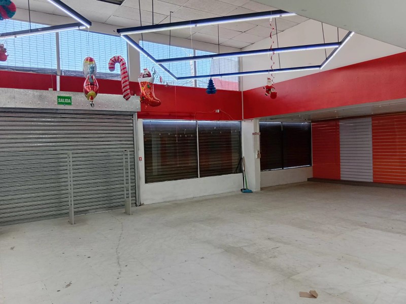 Exclusivo Local Comercial y Galpón en Avenida Balmaceda